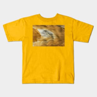 Geology Lines Sandstone Rock Weathering Liesegang Rings Kids T-Shirt